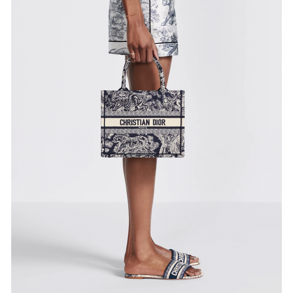 Small Dior Book Tote