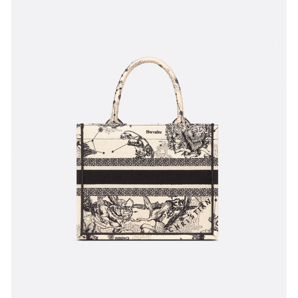Small Dior Book Tote