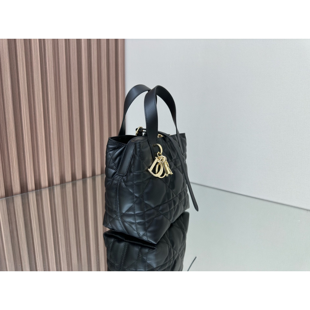 Mini Dior Toujours Vertical Handbag