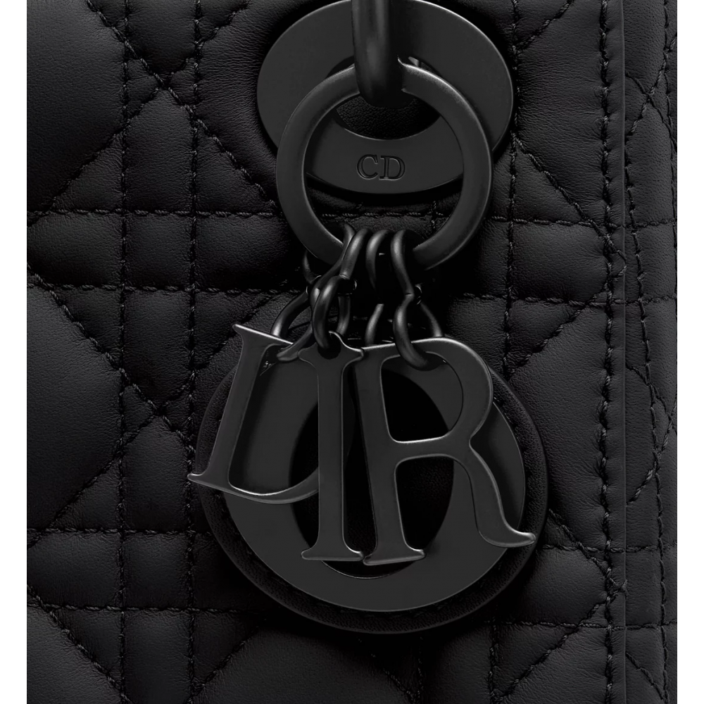 Mini Lady Dior Bag