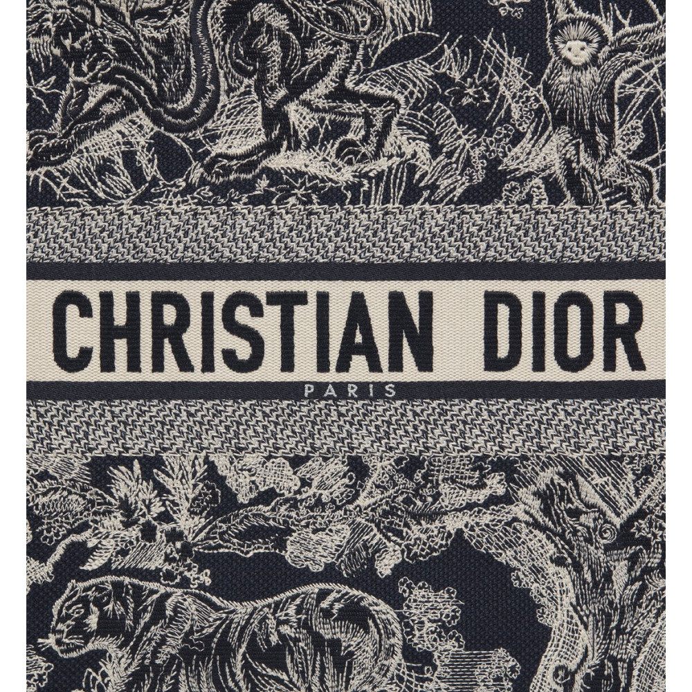 Large Dior Book Tote