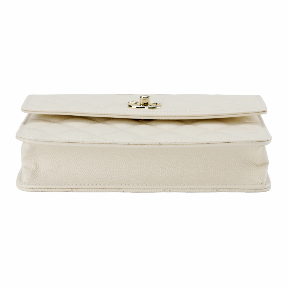 Chanel 25C Mini Packback