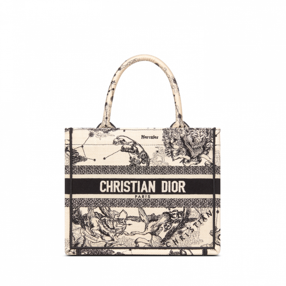 Small Dior Book Tote