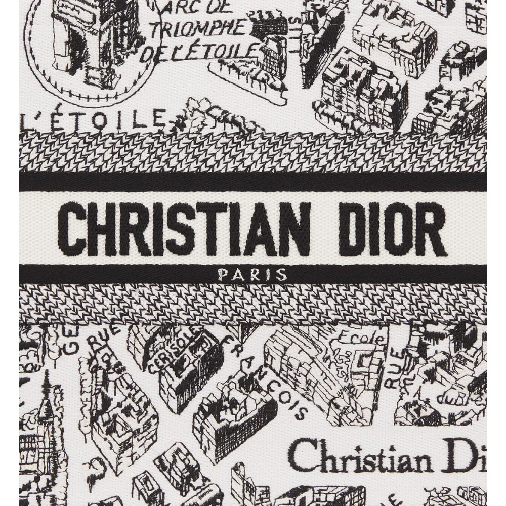 Small Dior Book Tote