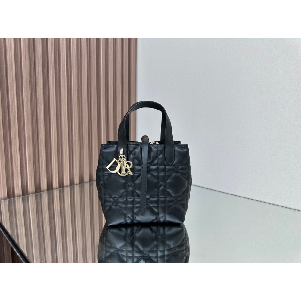 Mini Dior Toujours Vertical Handbag