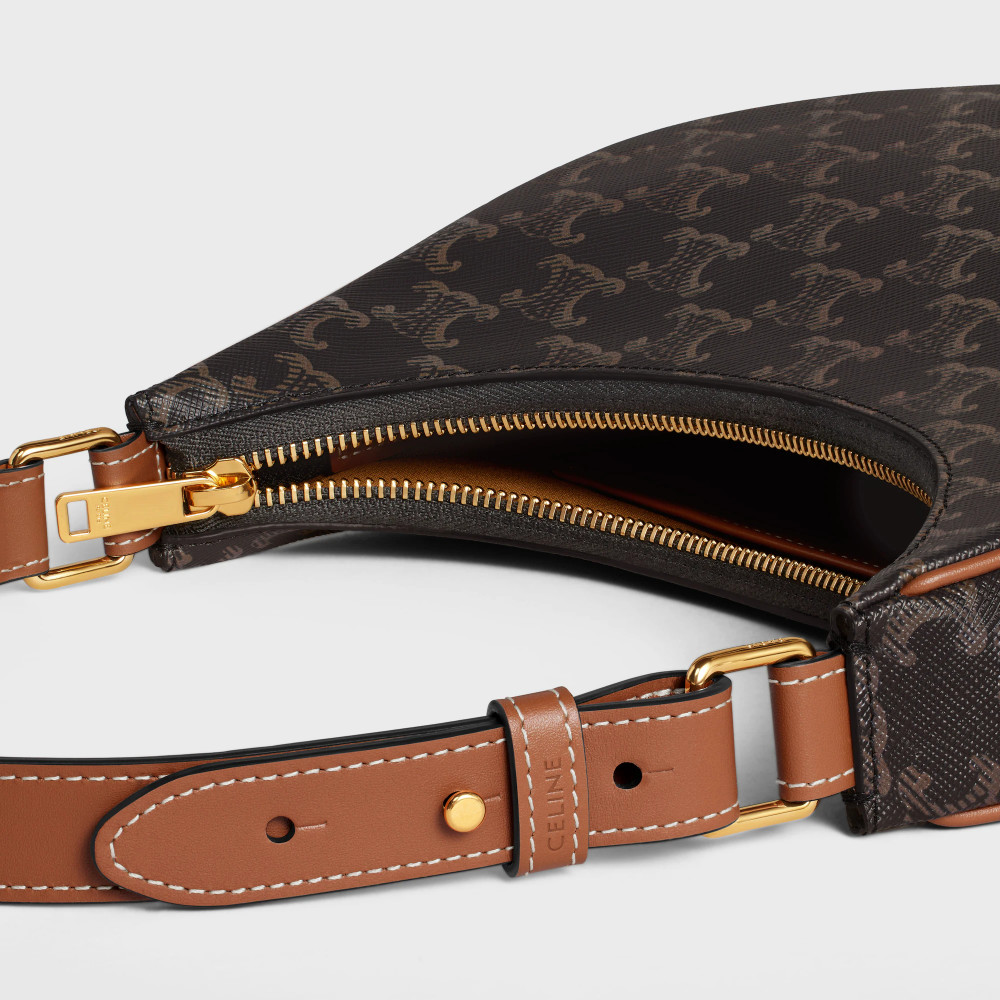 Ava Bag In Triomphe Canvas And Calfskin