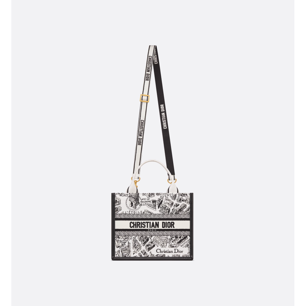 Small Dior Book Tote