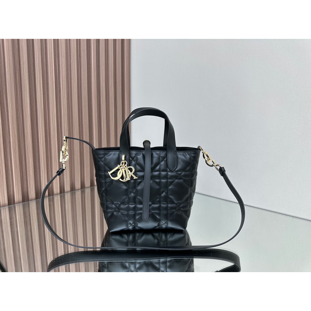 Mini Dior Toujours Vertical Handbag