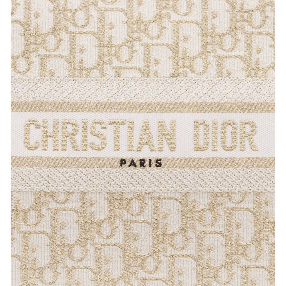 Small Dior Book Tote