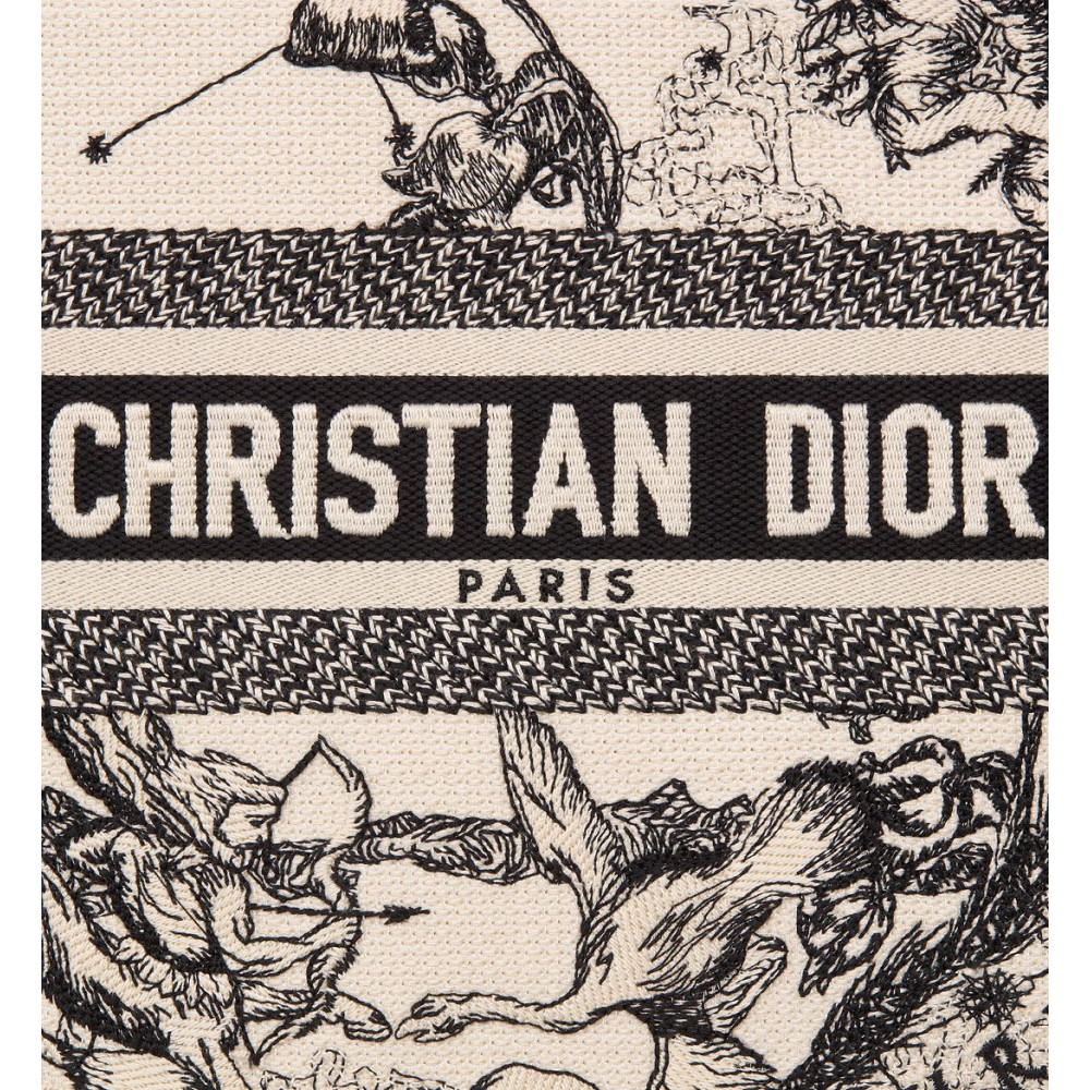 Small Dior Book Tote