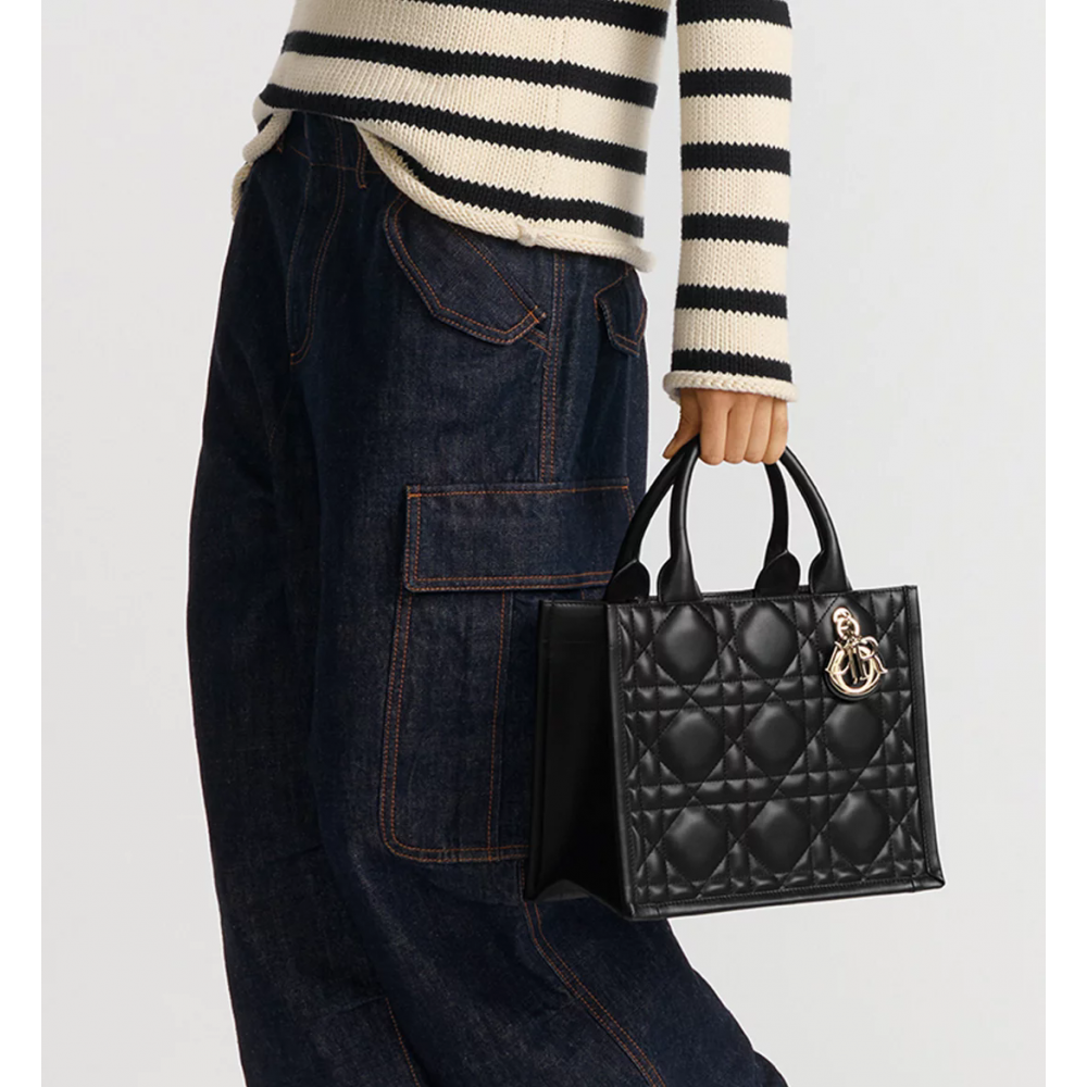 Small Dior Book Tote