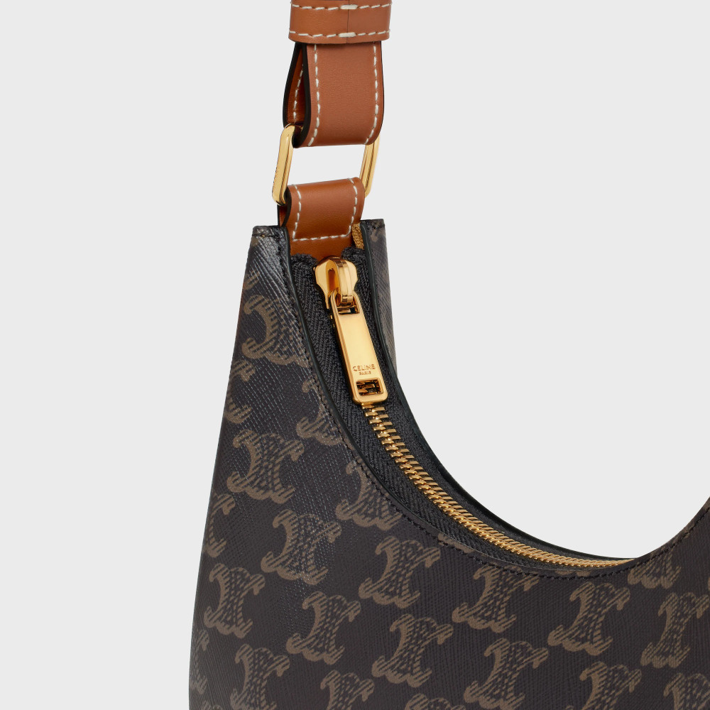 Ava Bag In Triomphe Canvas And Calfskin
