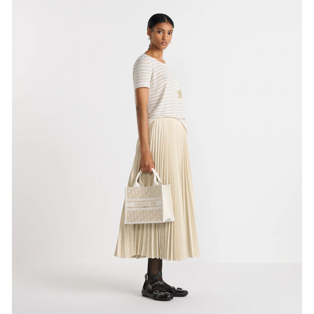Small Dior Book Tote