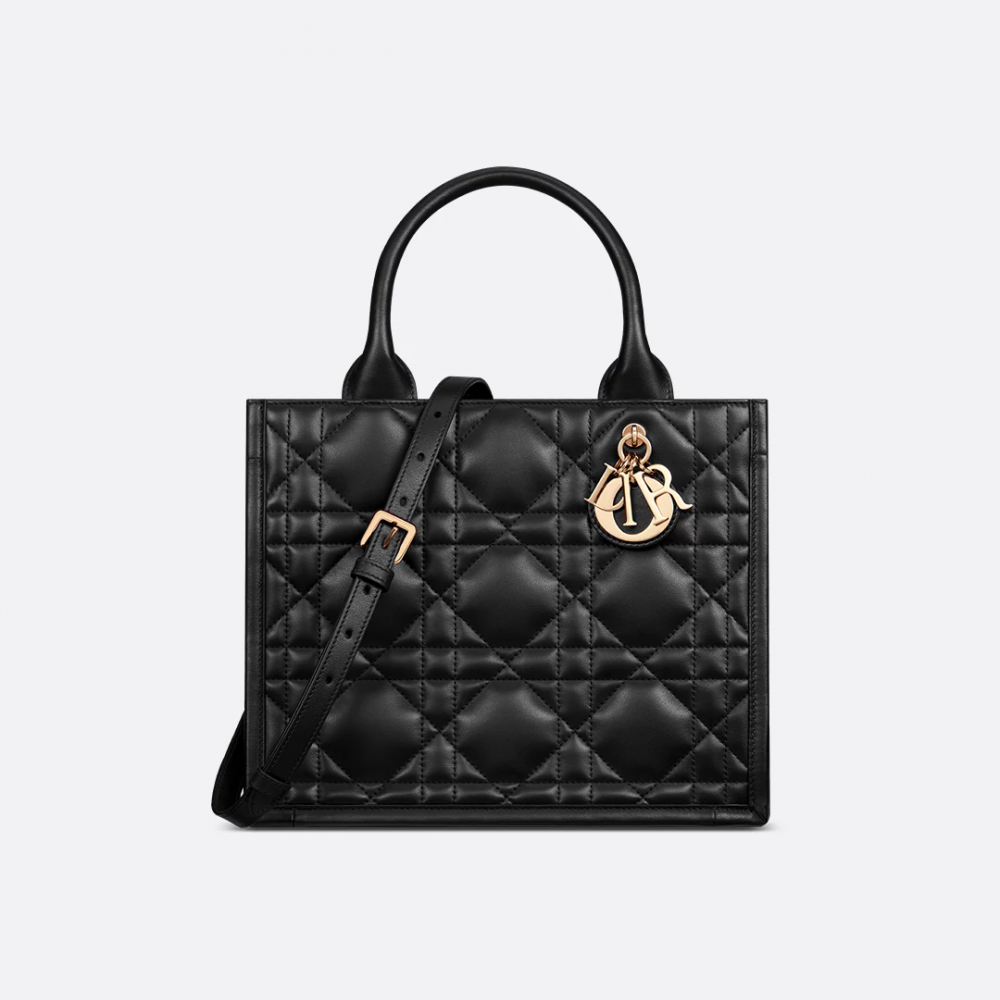 Small Dior Book Tote