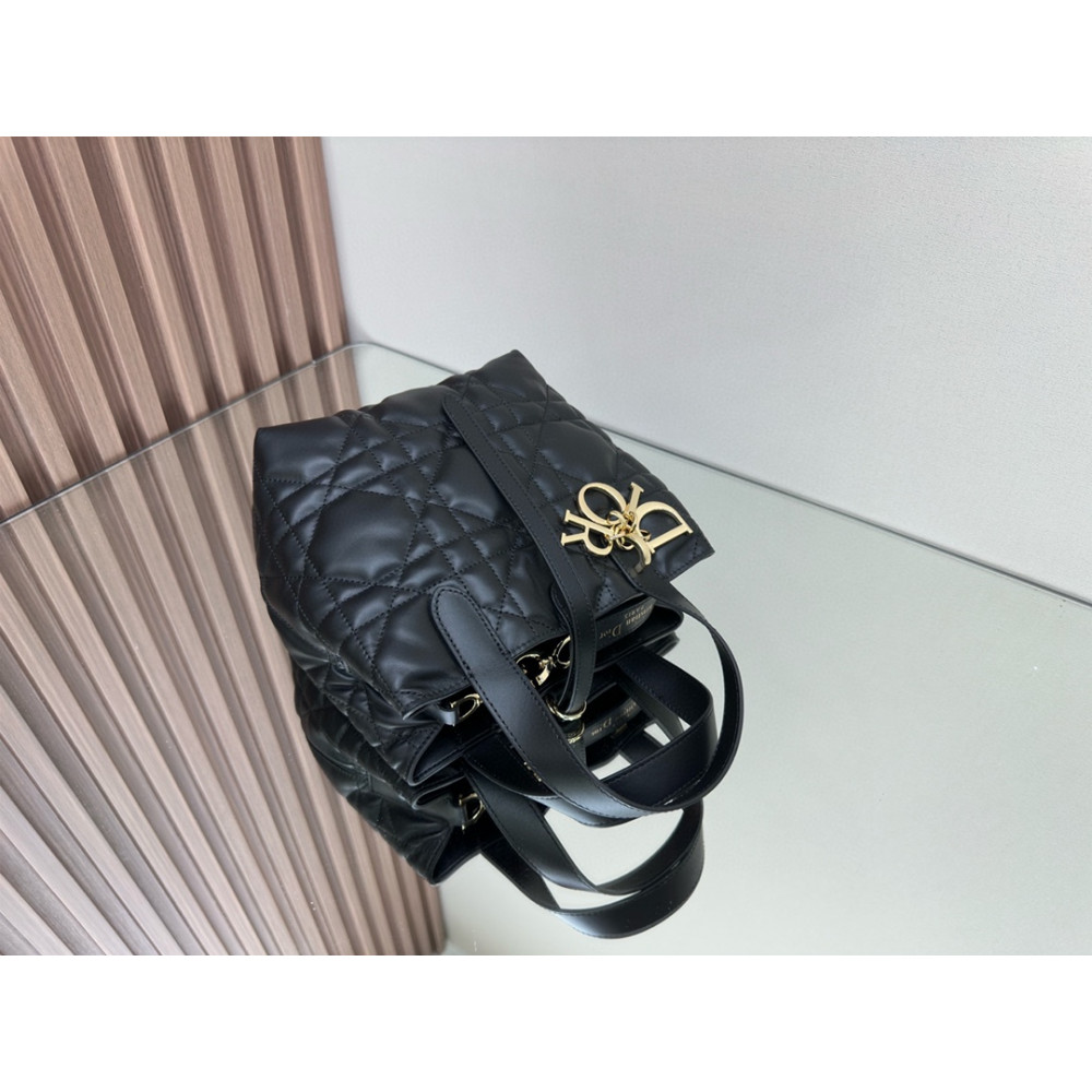 Mini Dior Toujours Vertical Handbag
