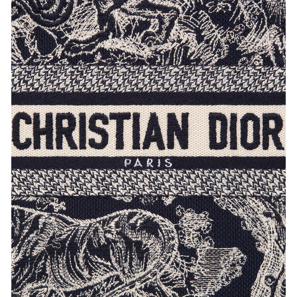 Small Dior Book Tote