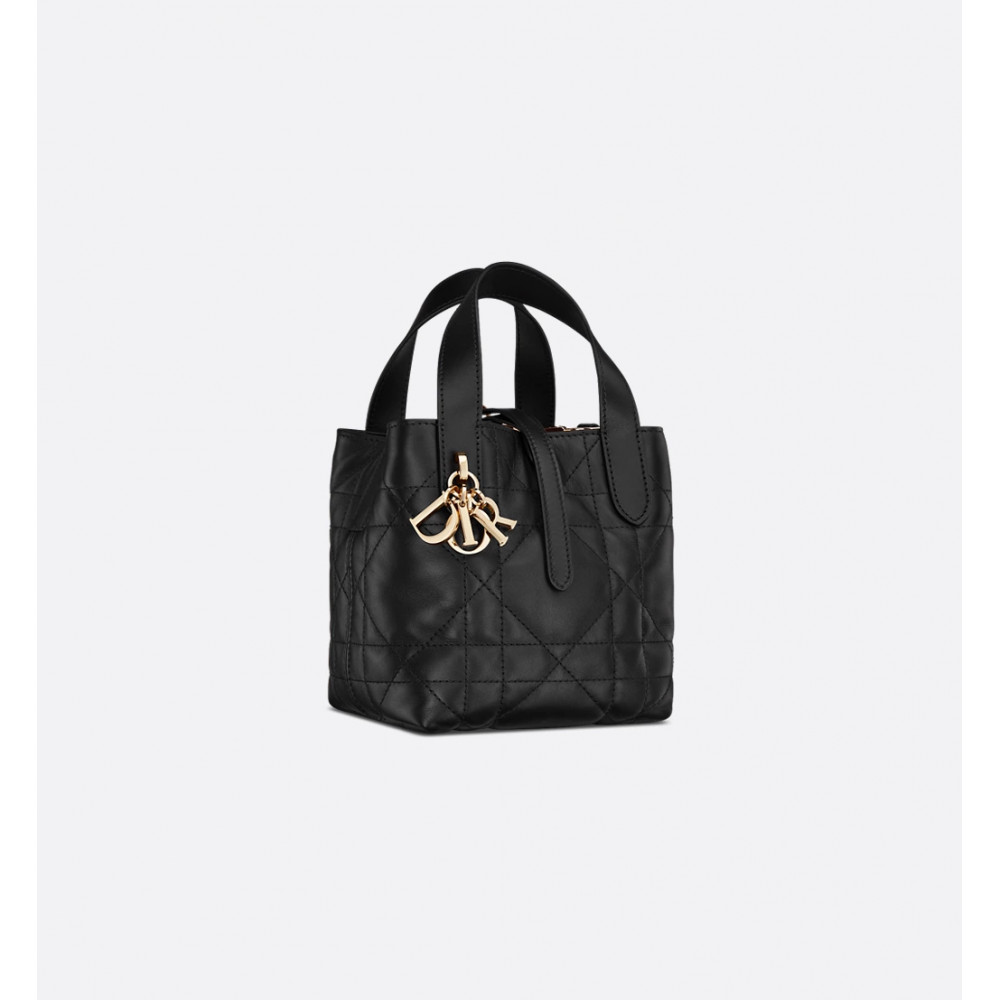 Mini Dior Toujours Vertical Handbag