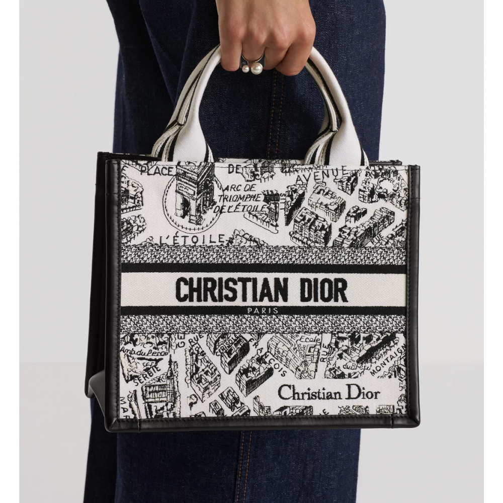Small Dior Book Tote