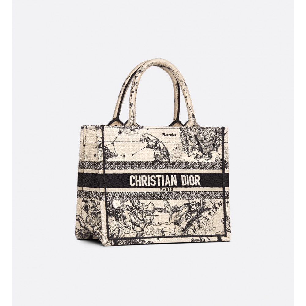 Small Dior Book Tote