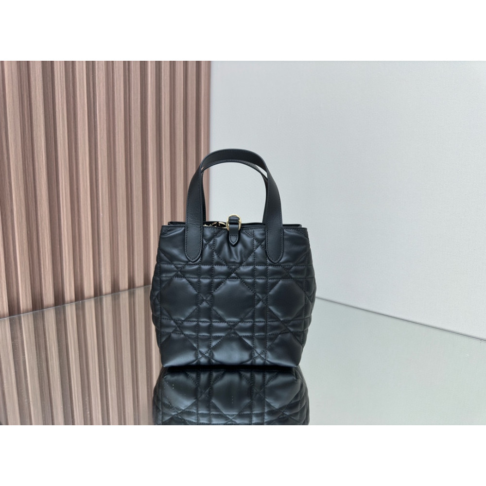 Mini Dior Toujours Vertical Handbag