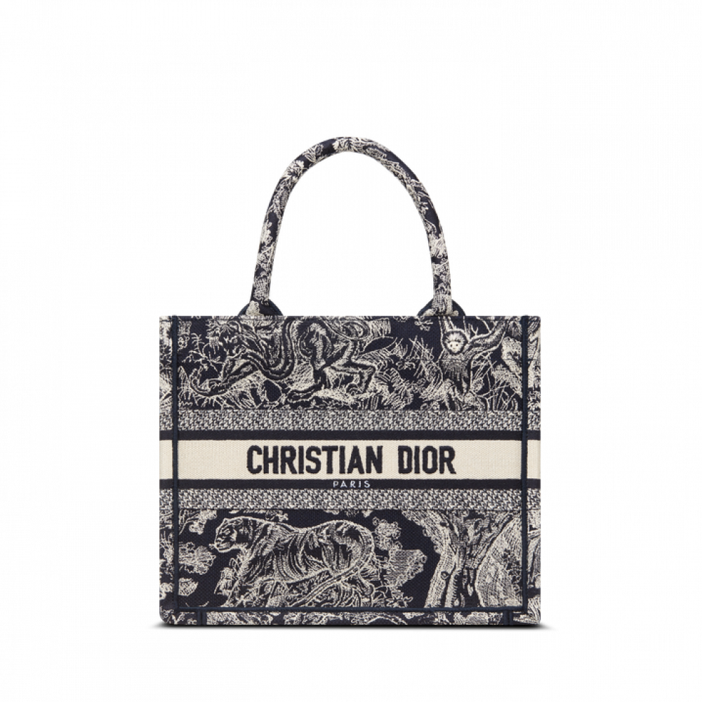 Small Dior Book Tote