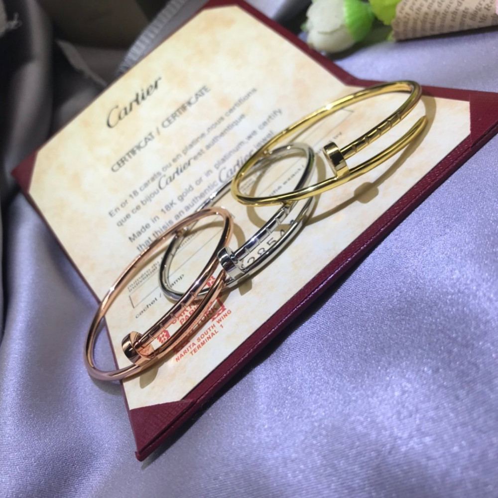 Cartier Nail Bangle, Thin Model, Without Diamonds,Regular Size