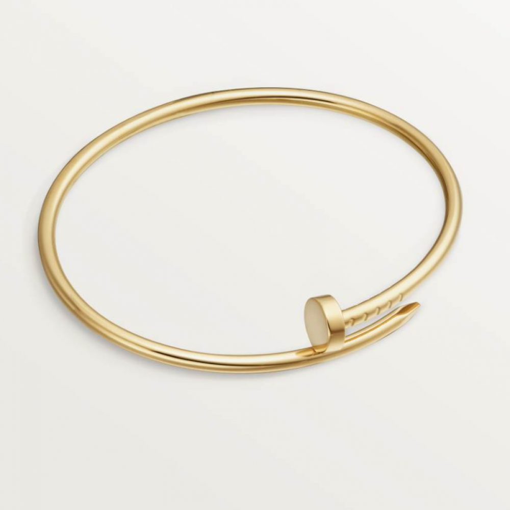 Cartier Nail Bangle No Diamonds Small Version