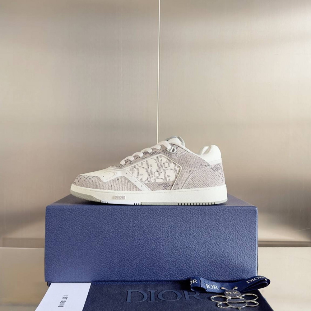 DIOR B27