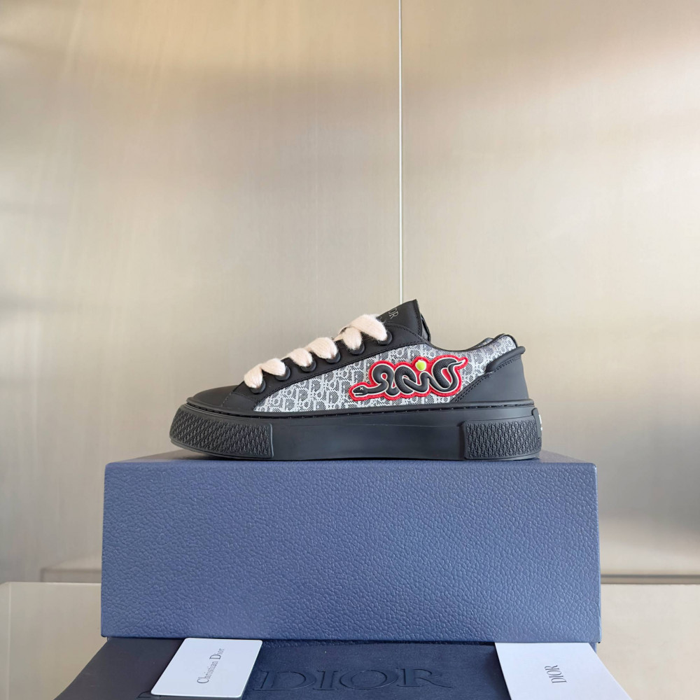 Dior B33