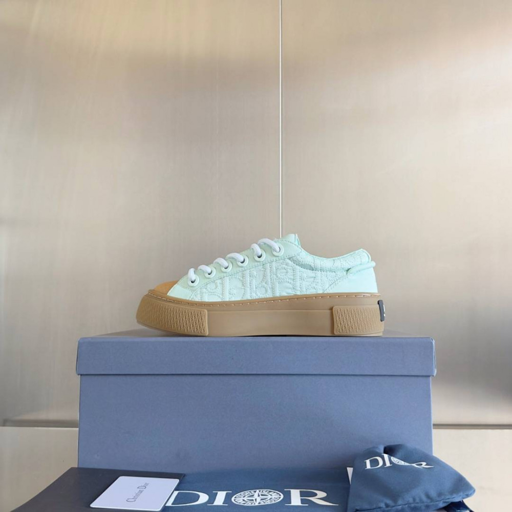 Dior B33