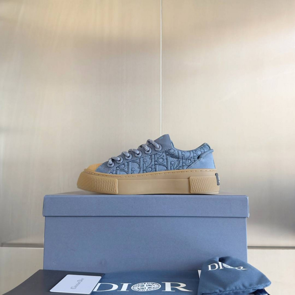 Dior B33