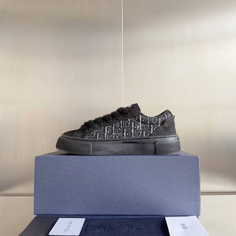 Dior B33