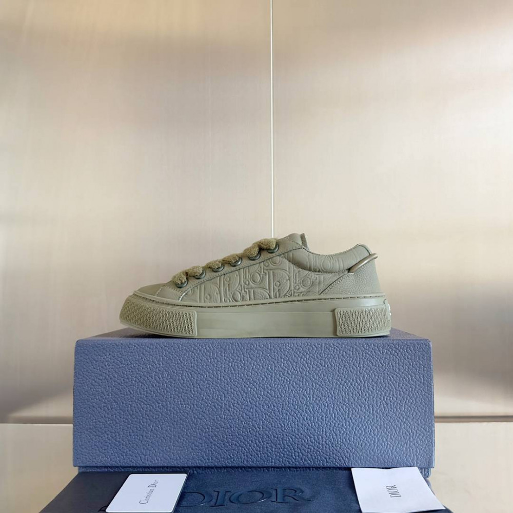 Dior B33