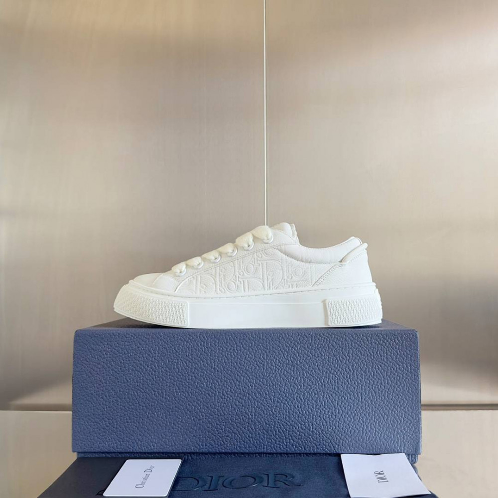 Dior B33