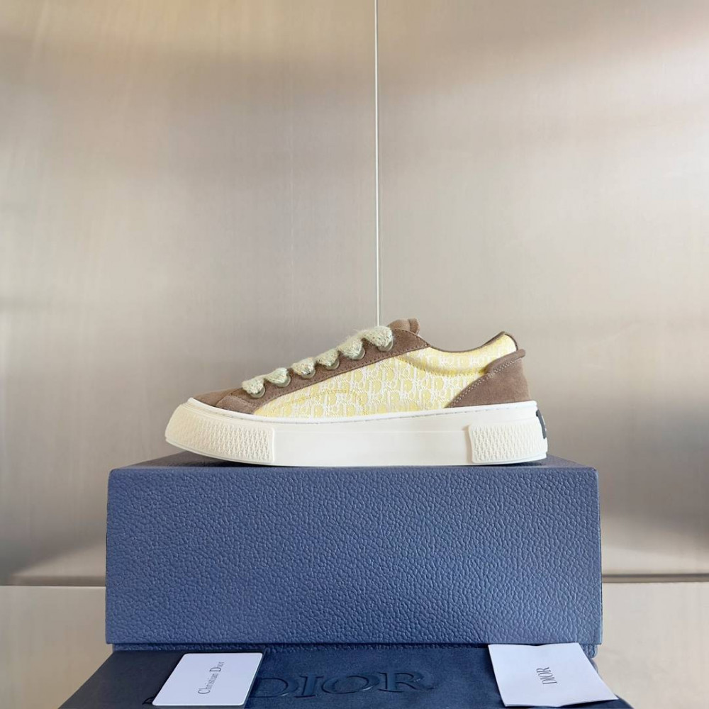 Dior B33