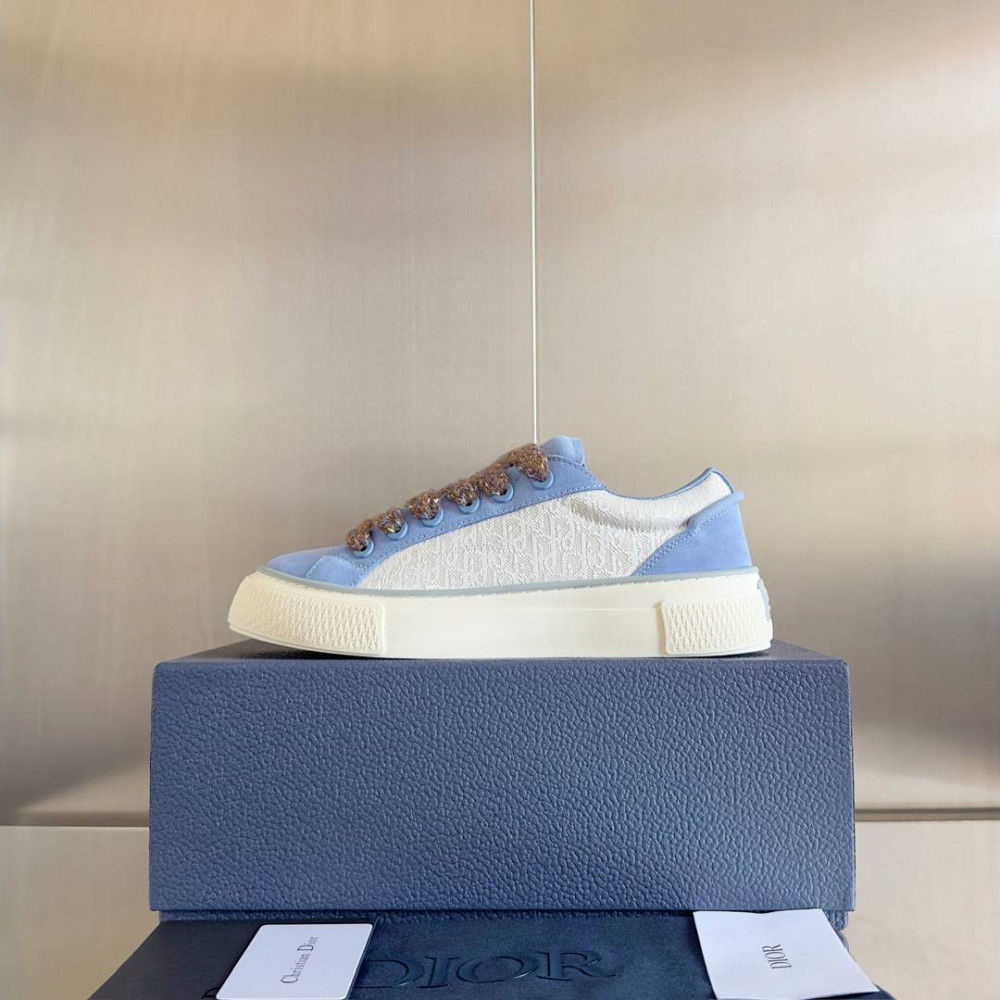 Dior B33