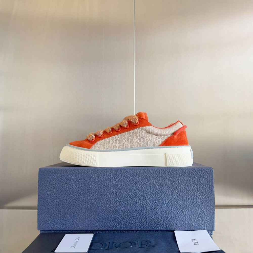 Dior B33