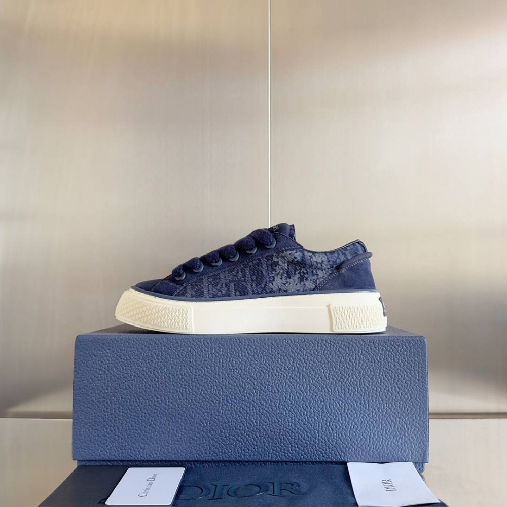 Dior B33