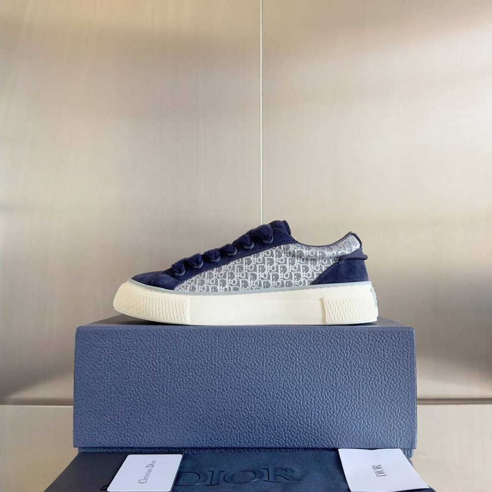 Dior B33