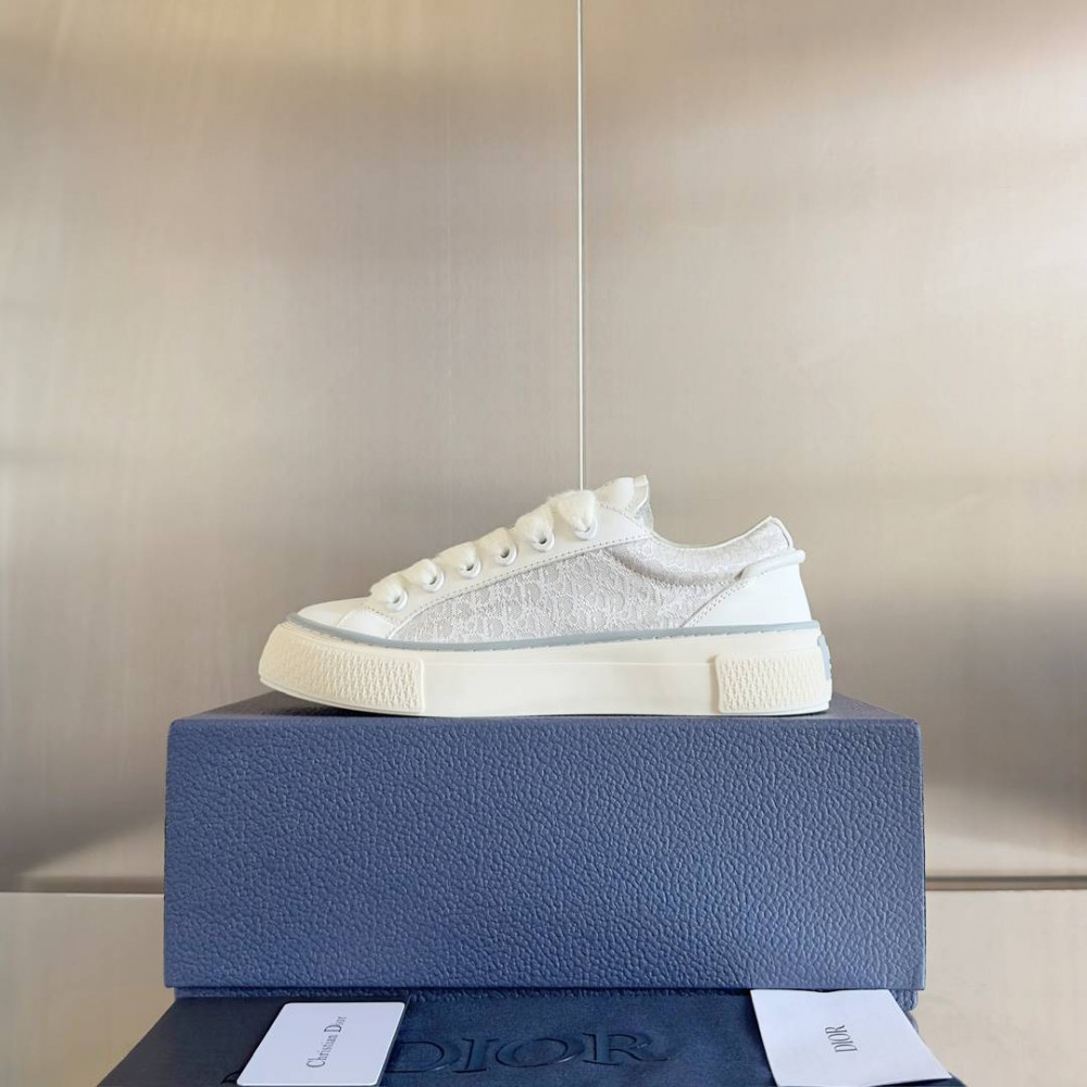 Dior B33