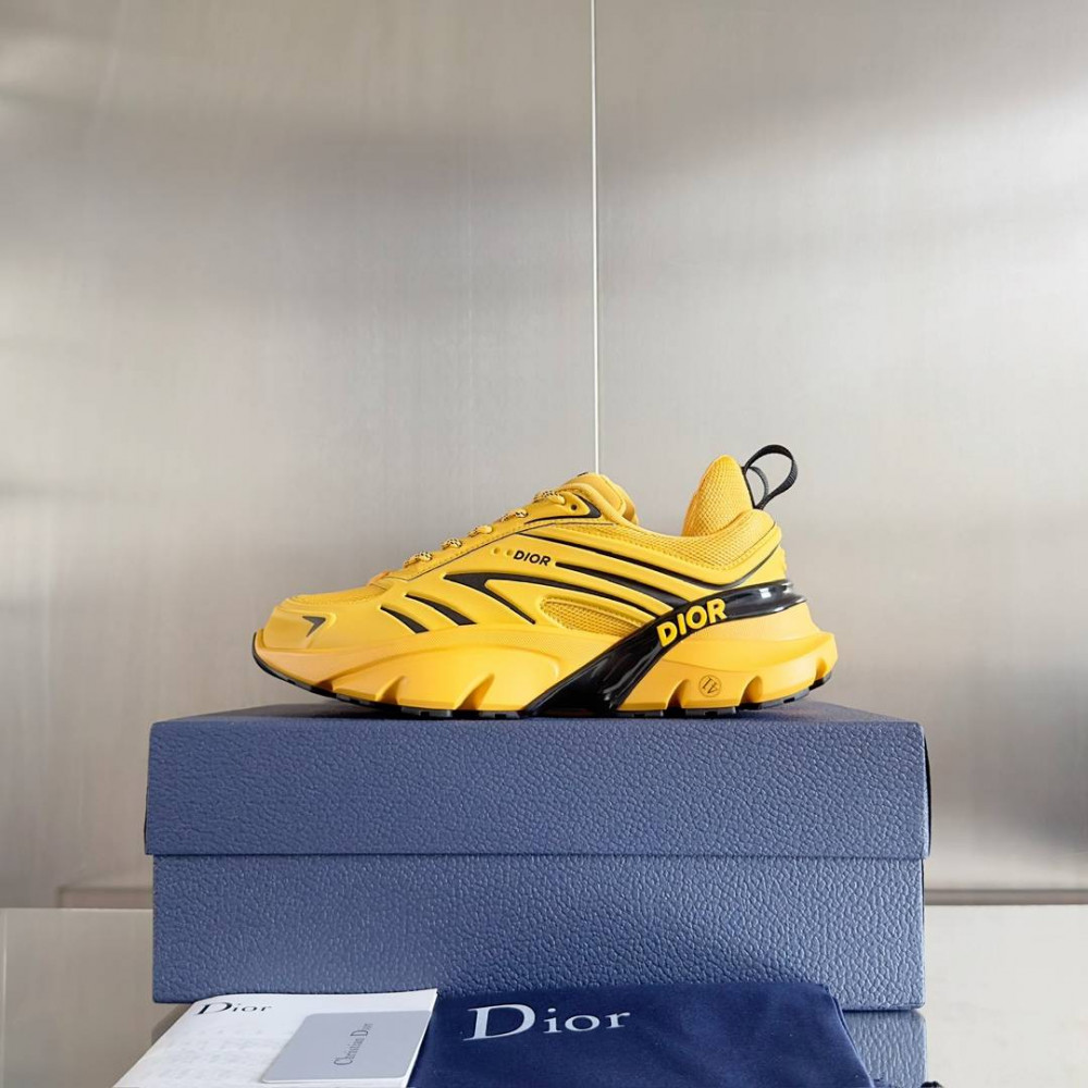 DIOR B44