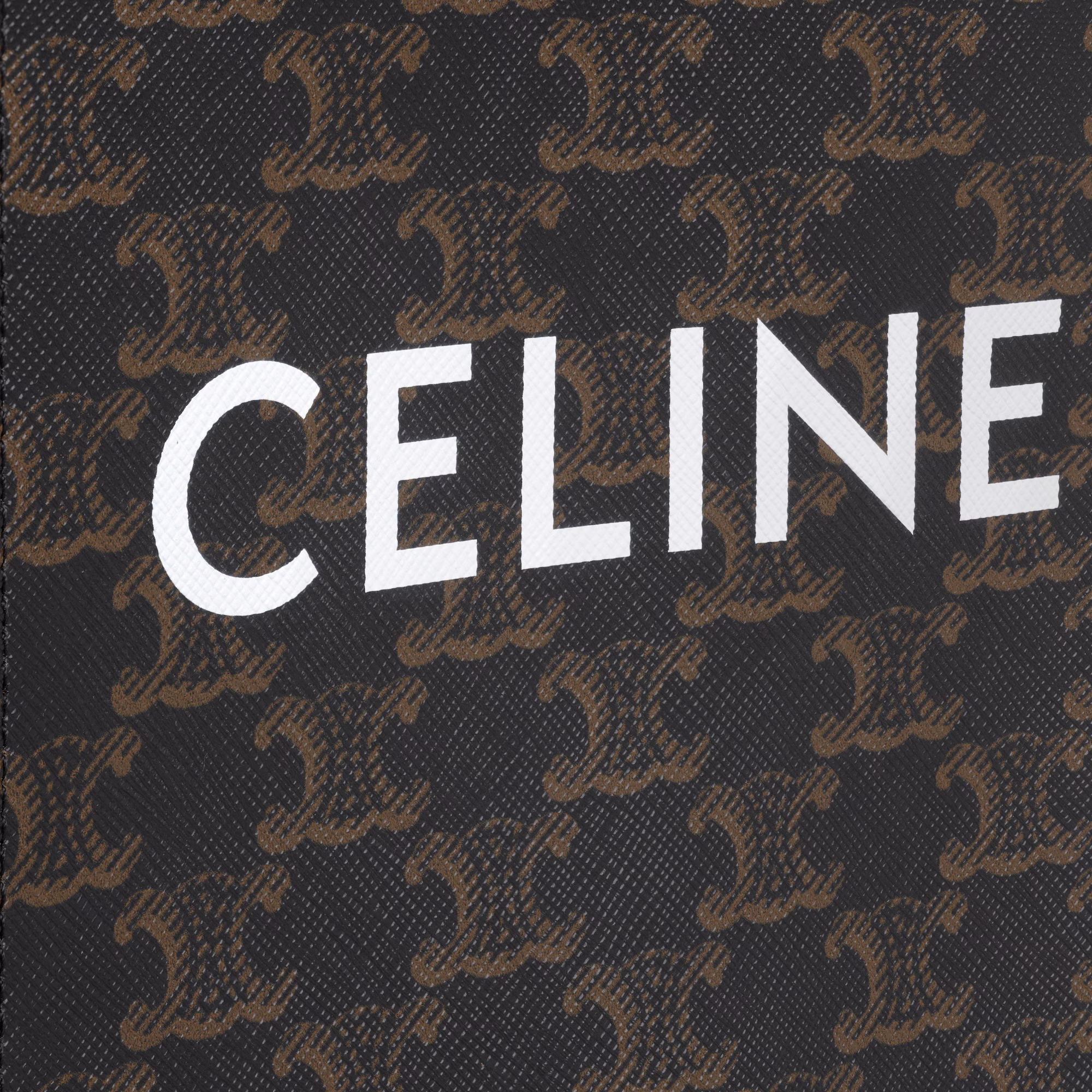 Mini Vertical Cabas In Triomphe Canvas With Celine Printmini Vertical Cabas In Triomphe Canvas With Celine Print