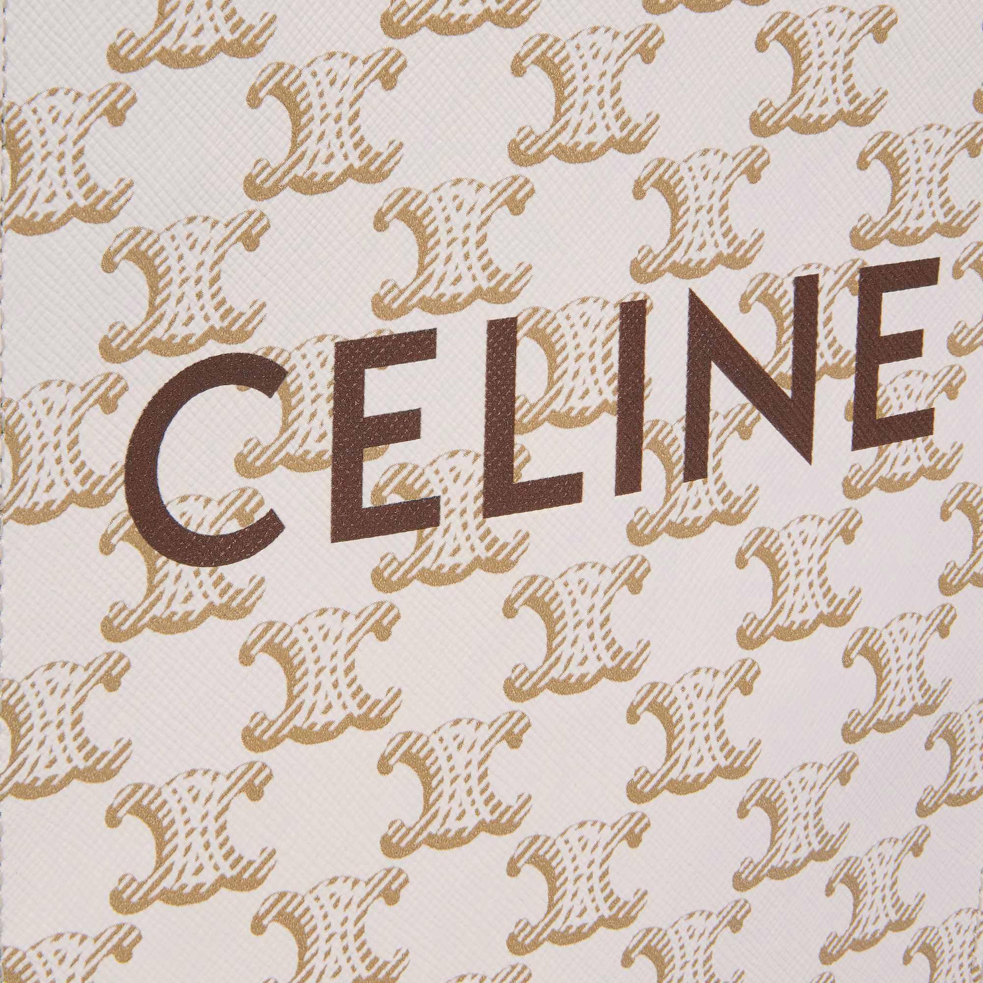 Mini Vertical Cabas In Triomphe Canvas With Celine Print